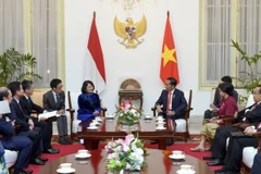 越南国家副主席邓氏玉盛会见印尼总统佐科·维多多