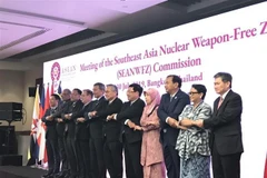 越南出席东南亚无核武器区条约委员会会议