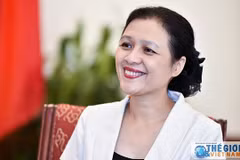 阮芳娥大使：在民间对外事业中发挥核心作用，为建国卫国事业做出贡献
