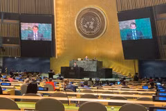 越南出席联合国关于大洋和海洋法的会议