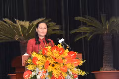 胡志明市全力推动行政审批制度改革实现新突破