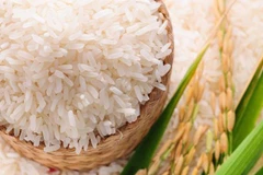 印尼力争2020年大米出口量达到50万吨