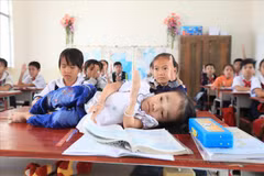 越南橙毒剂/迪奥辛受害者协会与日本反对原子弹和氢弹理事会加强合作