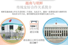 图表新闻：越南与朝鲜传统友好合作关系简介
