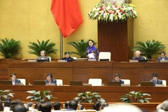 第十四届国会第八次会议：尽早对越南货物原产地规则作出详细规定
