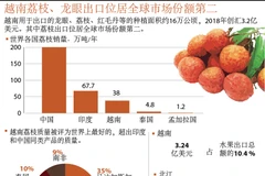 图表新闻：越南荔枝、龙眼出口位居全球市场份额第二