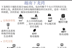 图表新闻：越南下龙湾遗产