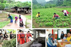 《少数民族地区和山区经济社会发展国家目标计划》为北部19个省份拨出5.7万亿越盾