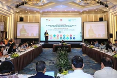 越南就落实2030年可持续发展议程国别自愿陈述报告举行磋商