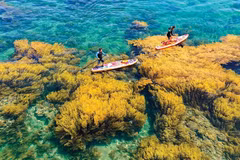越南海岛旅游：开采率仅约20%的“金矿”