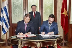 越乌举行活动 热烈庆祝两国建交30周年