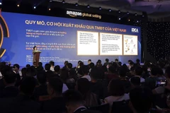 “亚洲精华、突破全球”跨境电商会议在河内召开