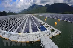 欧洲企业关注越南绿色经济和数字化转型领域