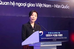 韩国驻越南大使吴英珠: 进一步推动越韩全面战略伙伴关系