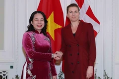 国家副主席武氏映春与丹麦首相梅特·弗雷泽里克森举行会谈 会见丹麦议会议长索伦·盖德