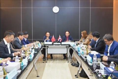 加强越南记者协会与泰国记者协会的合作