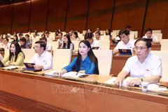 越南第十五届国会第五次会议：通过《电子交易法》（修正案）
