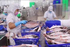 中国重新成为越南农林水产品出口最大市场