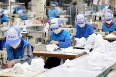 越南发布私营企业500强评估报告