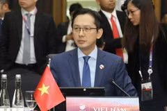 越南外交部副部长杜雄越出席2023年全球治理小组部长级会议