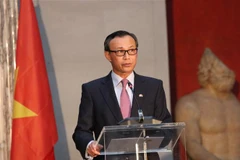 越南驻丹麦大使梁青毅：越丹关系取得实质成果