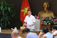 政府副总理黎明慨：越南化工集团应保障资源平衡同时增加法定资本