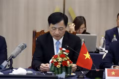越南政府承诺继续与东盟成员国在毒品防控领域密切合作
