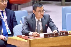 越南强调所有国家都有责任遵守《联合国宪章》和国际法