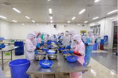 金瓯省多措并举支持出口企业渡难关 