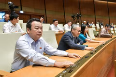 越南第十五届国会第六次会议决定未批准《土地法》（修正案）