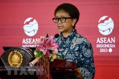 促进东盟秘书处与印度尼西亚和巴西之间的合作