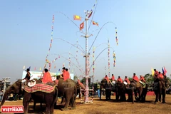 多乐省独特的为大象健康祭祀仪式 
