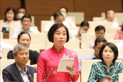 第十五届国会第五次会议：需要保持机票最高限价
