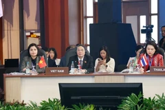 亚太议会论坛第31届年会：越南就加强议会在促进地区和平与稳定中的作用提出四点建议