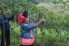 山罗省力争成为西北地区的经济中心