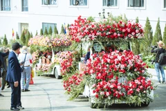 沙坝首届玫瑰花节 邀您来赏花