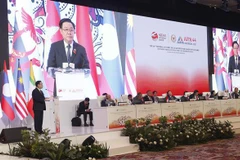 为AIPA-44的成功和加强越南与印尼和伊朗的合作关系作出贡献