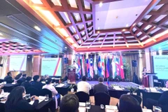 越南国家审计代表团出席在菲律宾举行的ASEANSAI理事会第七次大会