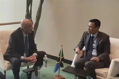 促进越南与坦桑尼亚友好关系 