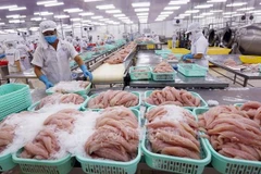 2023年越南水产品出口额可达92亿至93亿美元