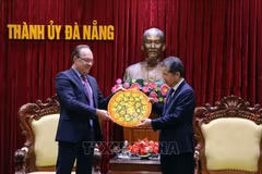 岘港加强与俄罗斯企业的联系与合作