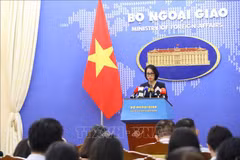 越南外交部通报老挝甘蒙省山体滑坡事件中越南公民领事保护工作情况