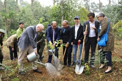 庆祝越南芬兰建交50周年植树活动在菊芳国家公园举行