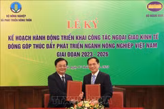 农业部门与外交部门携手助推越南农产品走向世界