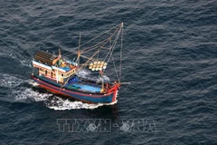 解除IUU“黄牌”警告：打击IUU捕捞活动刻不容缓