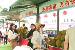 芒街-东兴贸易额预计超过疫情前水平