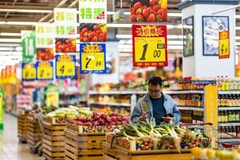 东盟与中国开始谈判升级双边自由贸易协定