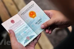 越南积极采取措施保护在中国广西的公民