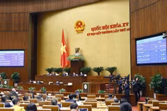 越南现行九部法律若干条款修改补充法自3月1日起正式生效