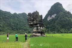 进一步提升高平山水UNESCO全球地质公园之价值